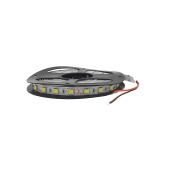 Sznur diodowy 5m, zimny biały (300x5050SMD)-102649